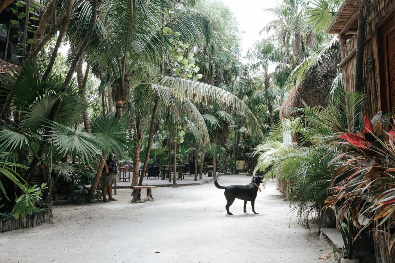 Hotel Co.Banitas Tulum Exterior foto